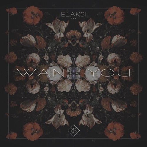 Elaski - Want You [Free Download]