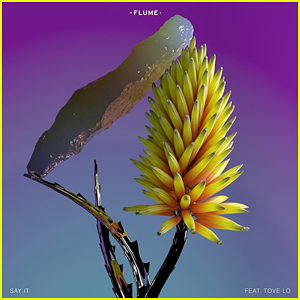 flume say it artwork
