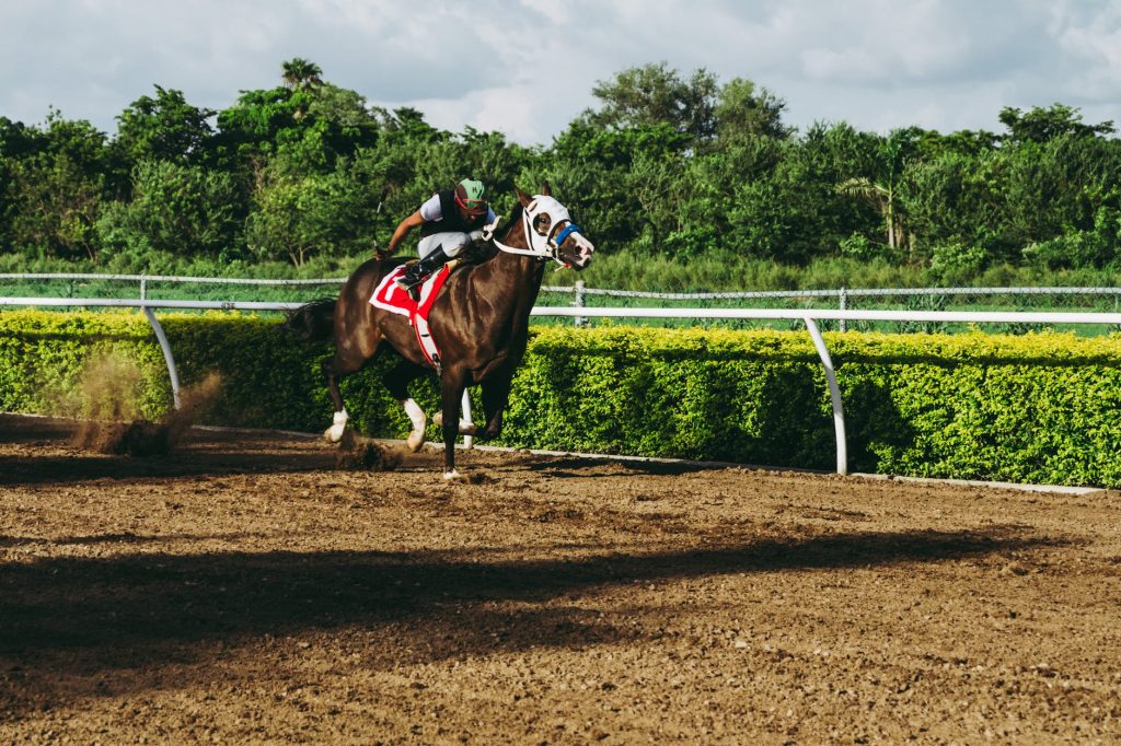 History Of Horse Racing In Australia